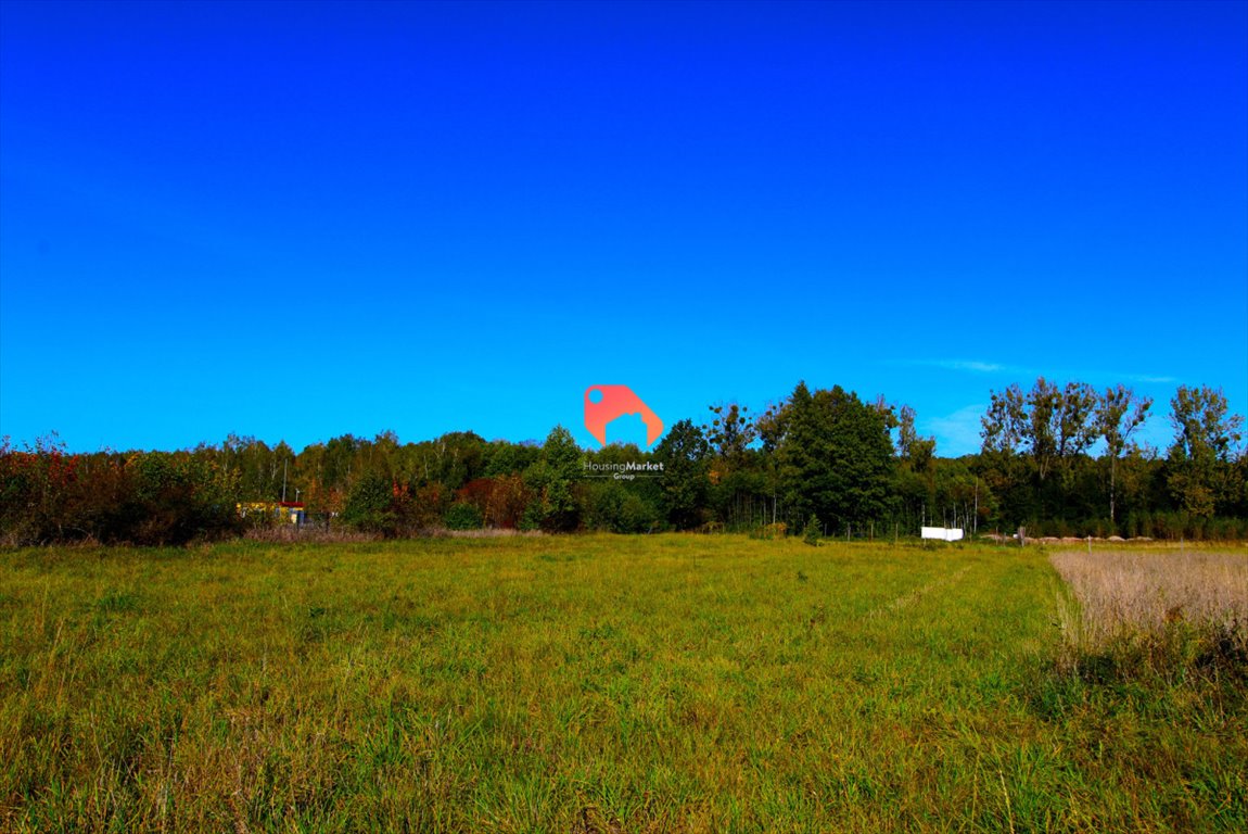 Działka budowlana na sprzedaż Siestrzeń  2 291m2 Foto 3