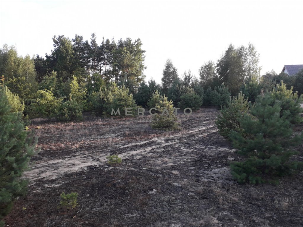 Działka budowlana na sprzedaż Pupkowizna  1 000m2 Foto 9