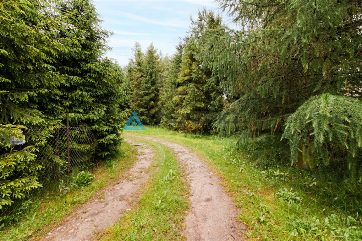 Działka siedliskowa na sprzedaż Sucha Huta, Wieżycka  3 755m2 Foto 4