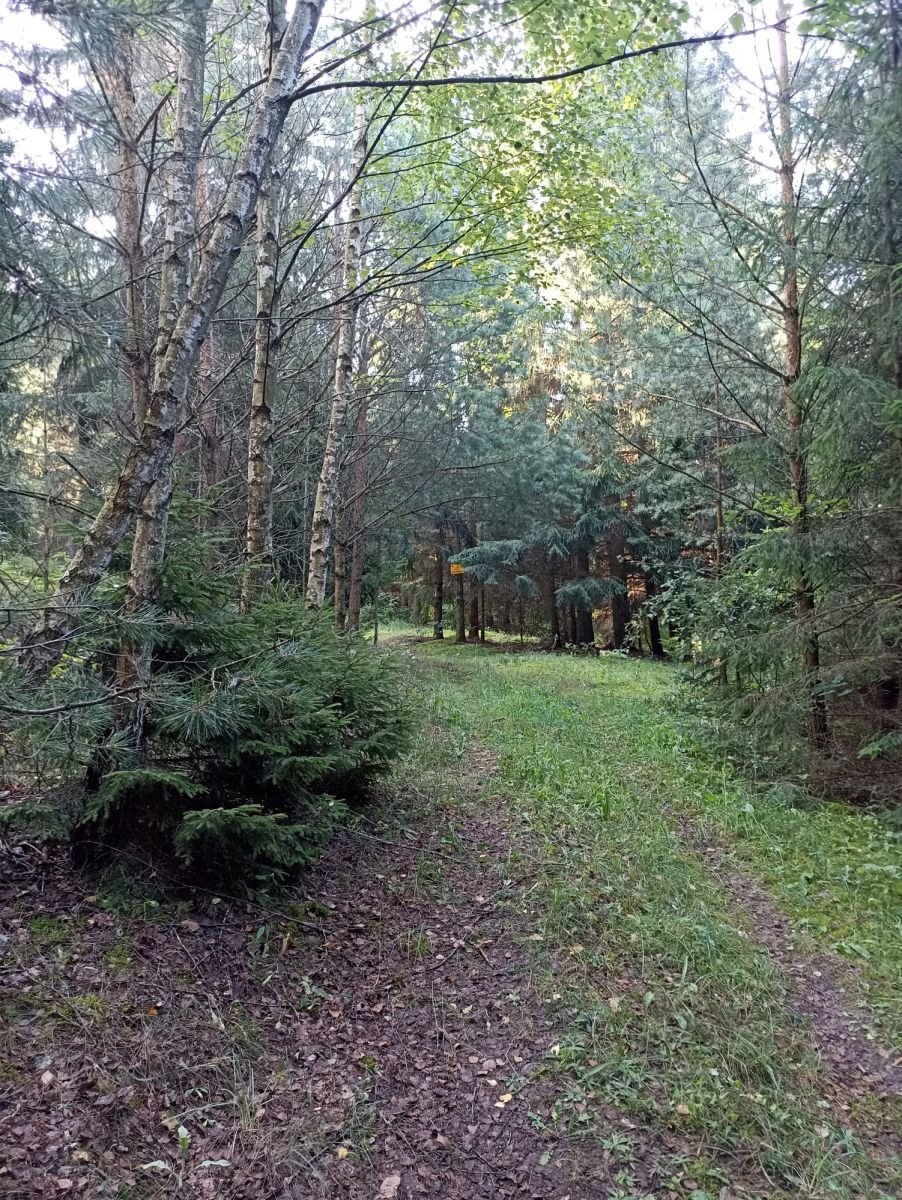 Działka gospodarstwo rolne na sprzedaż Udziejek  50 600m2 Foto 1