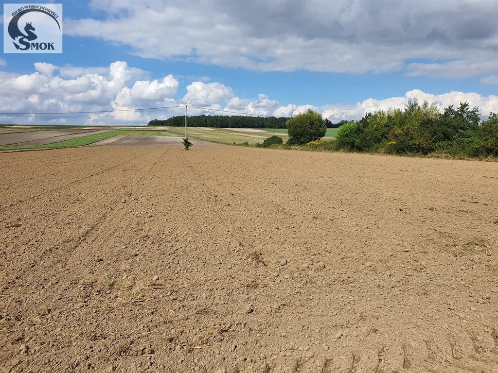 Działka budowlana na sprzedaż Czaple Małe  3 000m2 Foto 1