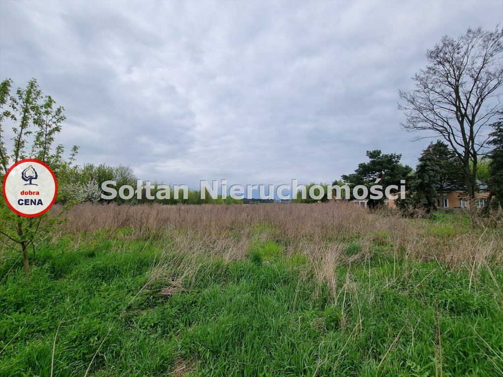 Działka budowlana na sprzedaż Kożuszki-Kolonia  54 700m2 Foto 1