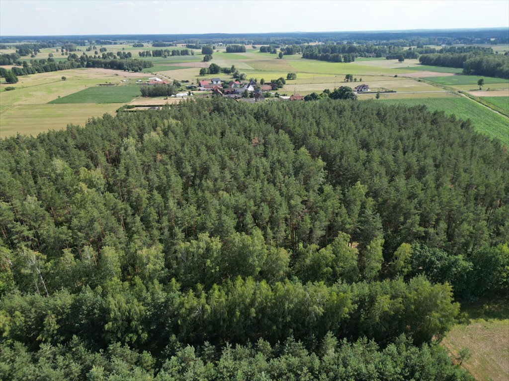 Działka budowlana na sprzedaż Jerominy  3 705m2 Foto 10