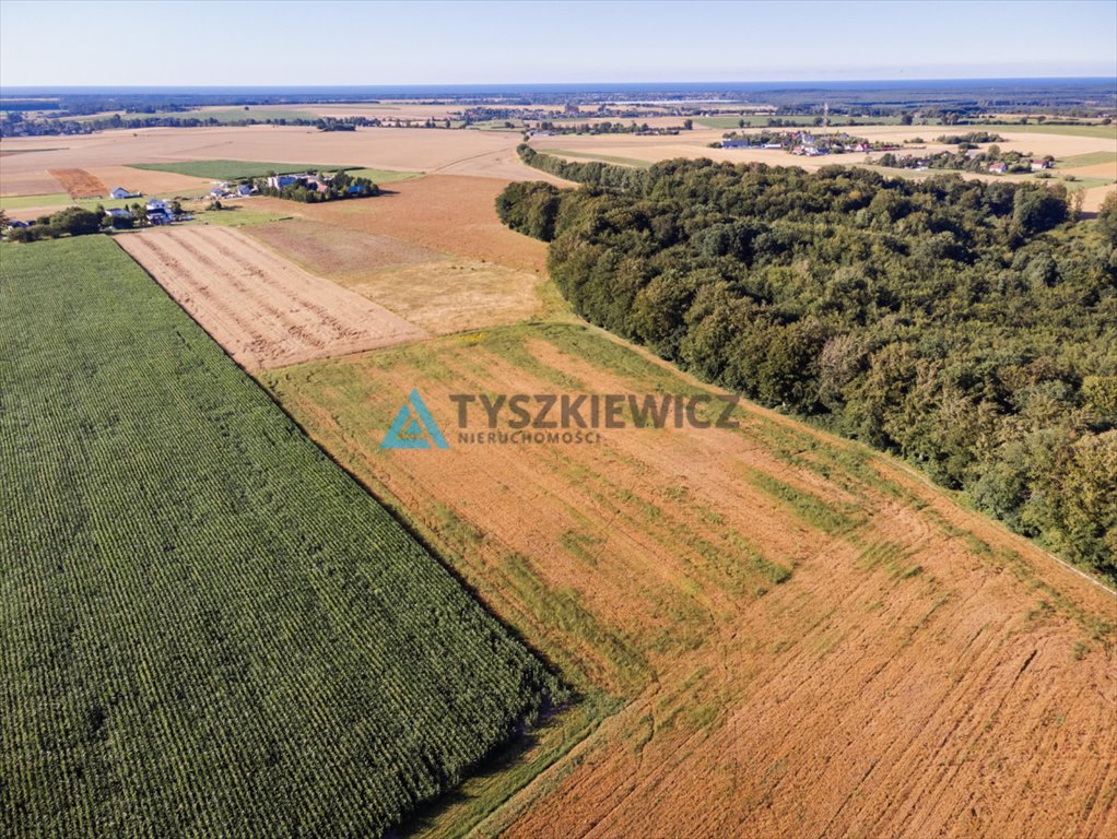 Działka rolna na sprzedaż Lisewo, Leśna  3 090m2 Foto 4