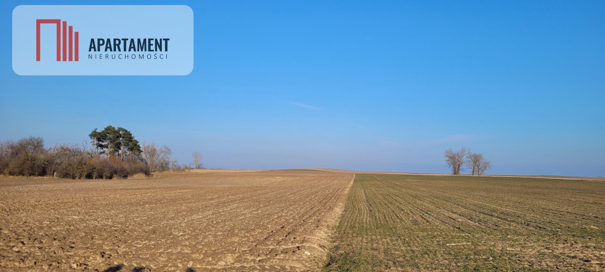 Działka gospodarstwo rolne na sprzedaż Będzitówek  16 400m2 Foto 1