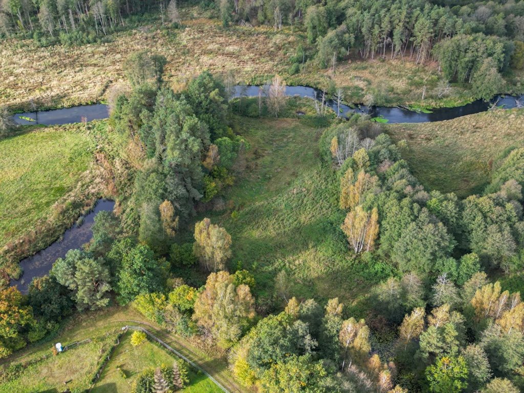 Działka rolna na sprzedaż Korzybie  6 800m2 Foto 4