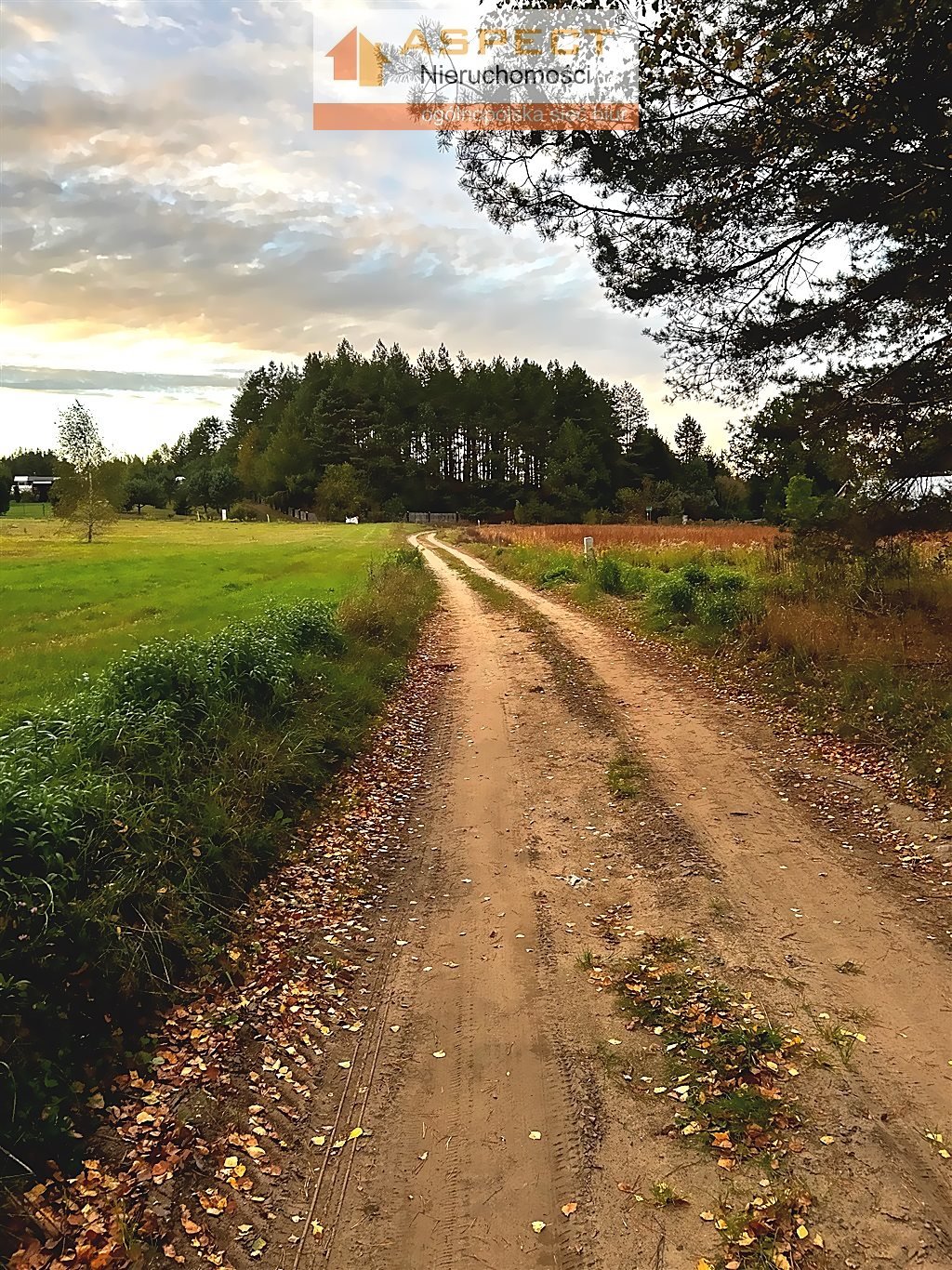 Działka budowlana na sprzedaż LIPOWY MOST, LIPOWY MOST  3 000m2 Foto 5