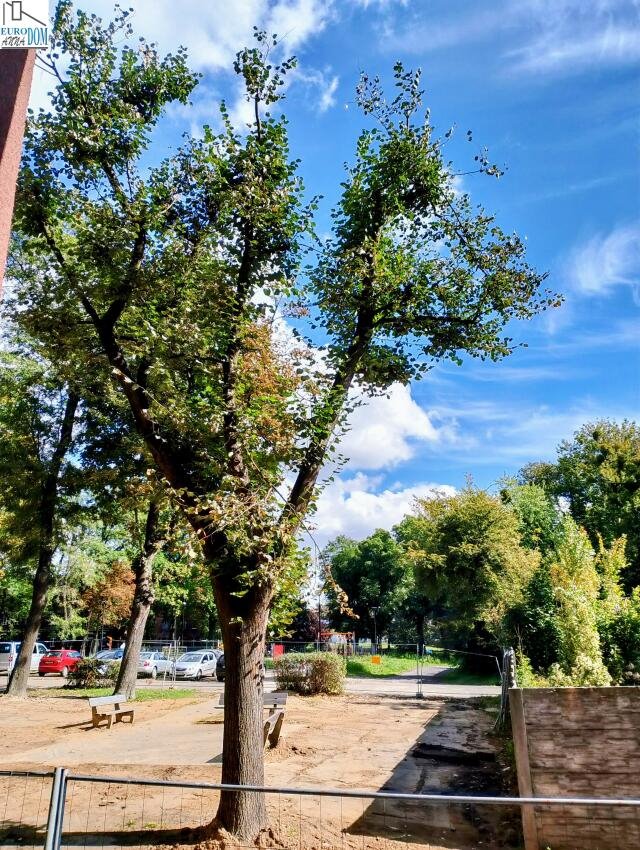 Kawalerka na sprzedaż Bytom, Bobrek  29m2 Foto 4