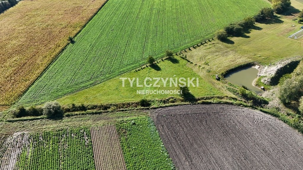 Działka budowlana na sprzedaż Bieniewice  21 651m2 Foto 5