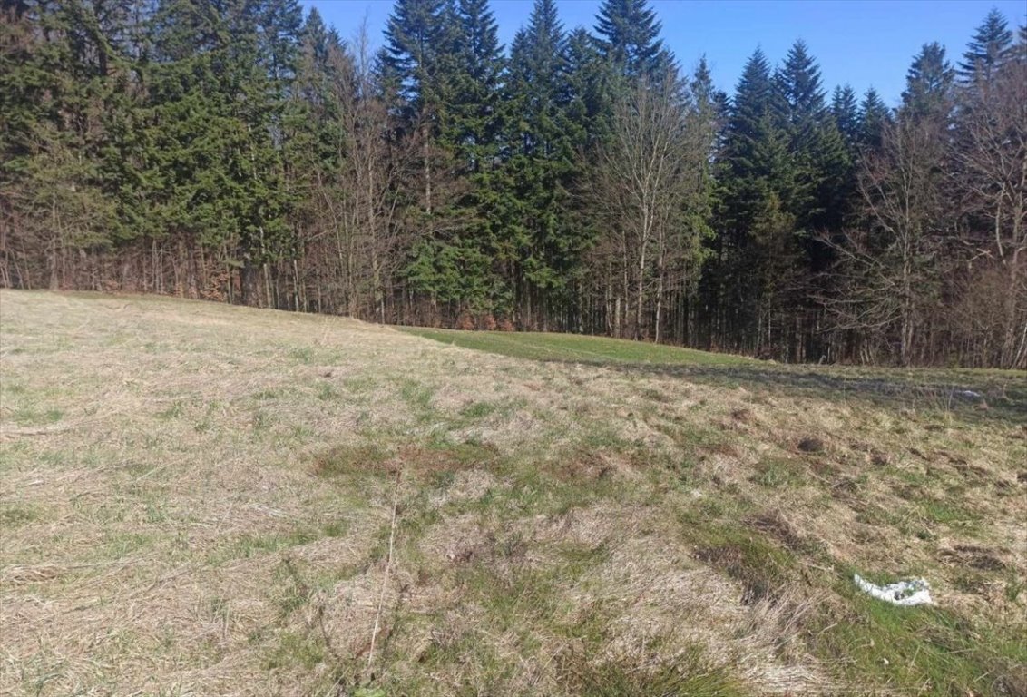 Działka budowlana na sprzedaż Laliki  3 347m2 Foto 8