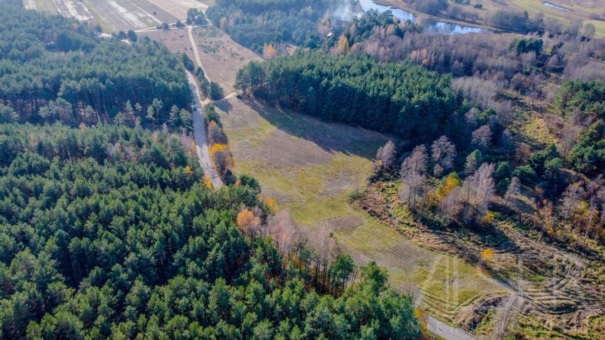 Działka rekreacyjna na sprzedaż Grądy Szlacheckie  15 400m2 Foto 7