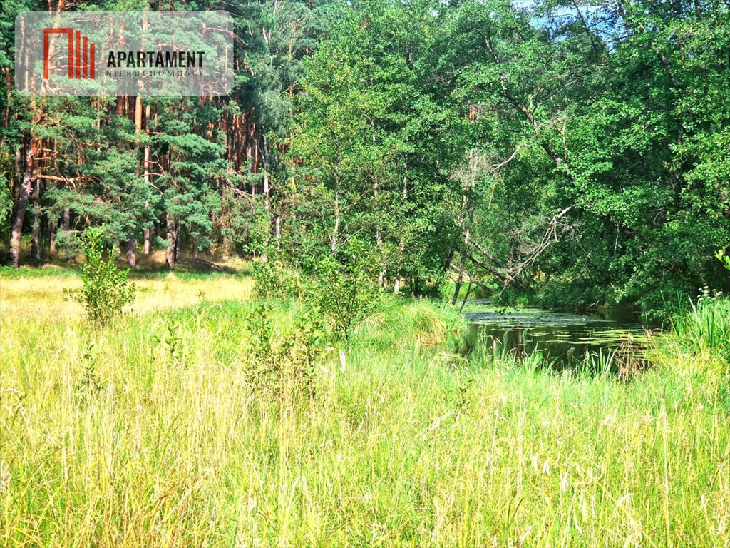 Działka gospodarstwo rolne na sprzedaż Biała  3 100m2 Foto 6