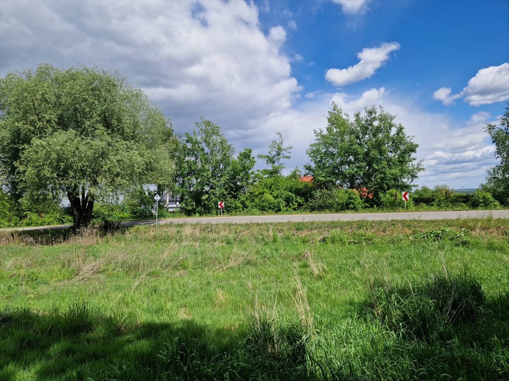 Działka budowlana na sprzedaż Mikołów, Paniowy, Mokierska  1 047m2 Foto 3