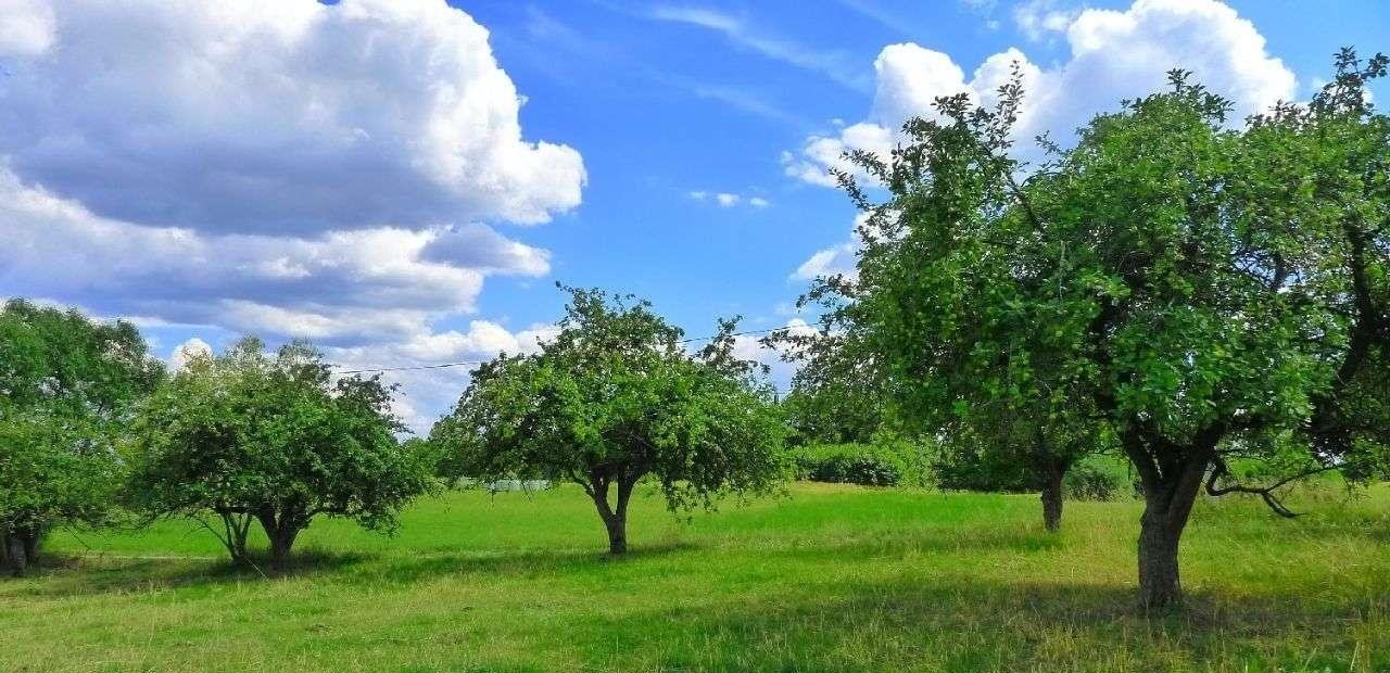 Działka budowlana na sprzedaż Suwałki  1 893m2 Foto 3