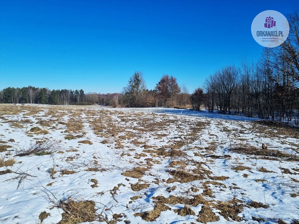 Działka budowlana na sprzedaż Giławy, Giławy  4 259m2 Foto 12