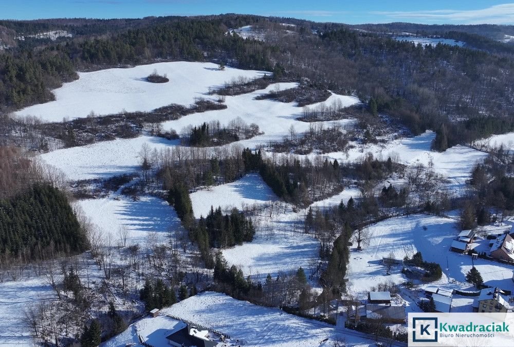 Działka inwestycyjna na sprzedaż Stężnica  102 500m2 Foto 8