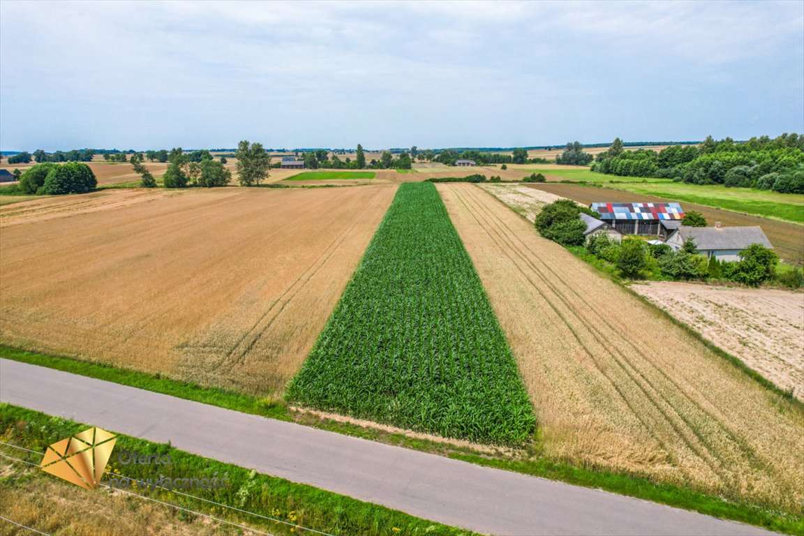 Działka budowlana na sprzedaż Fajsławice  3 900m2 Foto 1