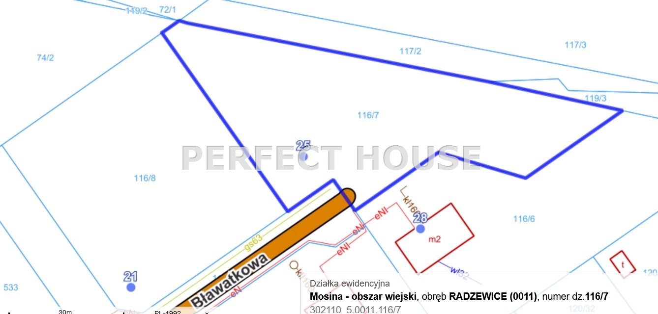 Działka budowlana na sprzedaż Radzewice, Bławatkowa  3 008m2 Foto 12