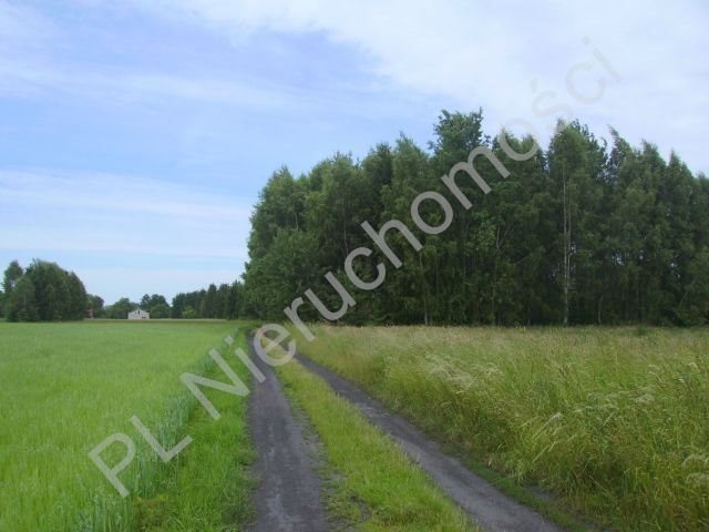 Działka rolna na sprzedaż Holendry Baranowskie 28 400m2 Foto 1 Działka rolna na sprzedaż Holendry Baranowskie 28 400m2 Foto 1