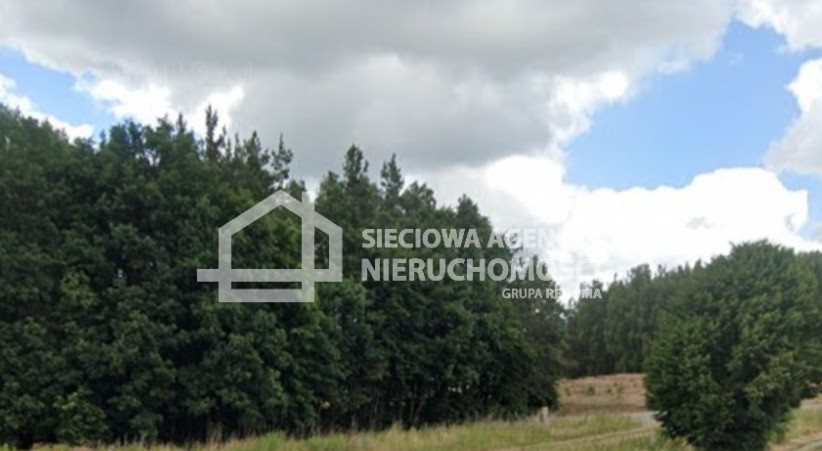 Działka leśna na sprzedaż Borkowo  16 855m2 Foto 3
