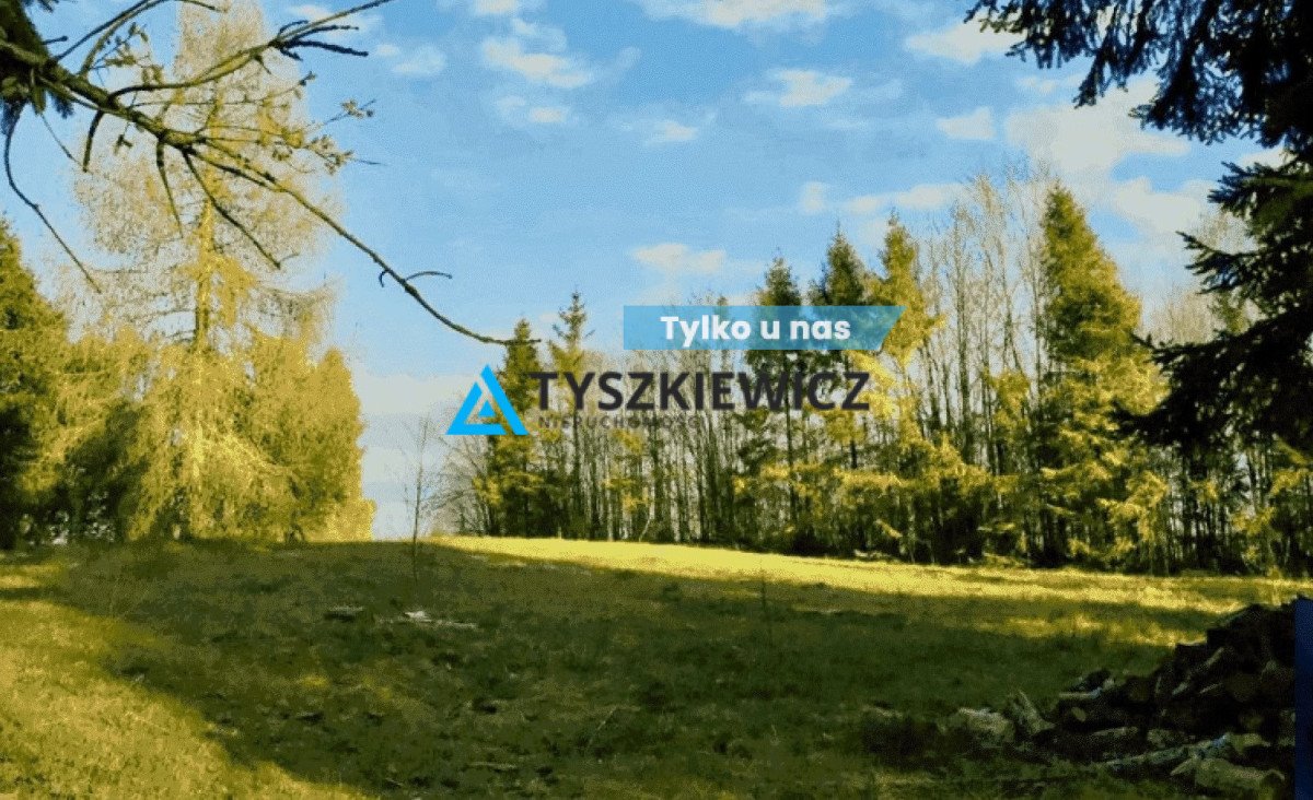 Działka na Kaszubach z mediami, lasem i jeziorem 1300 m Gowidlino  1 357m2 Foto 1