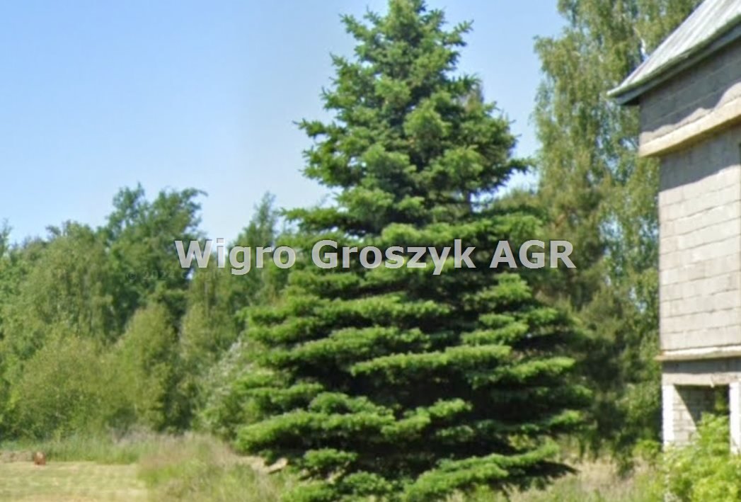 Unikalny dom 325 m2 w Kampinosie – inwestycja i aranżacja Kampinos  325m2 Foto 1