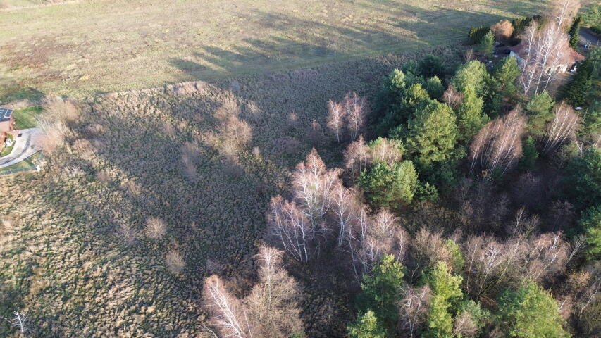 Działka budowlana na sprzedaż Prażmów, Prażmów  4 083m2 Foto 5