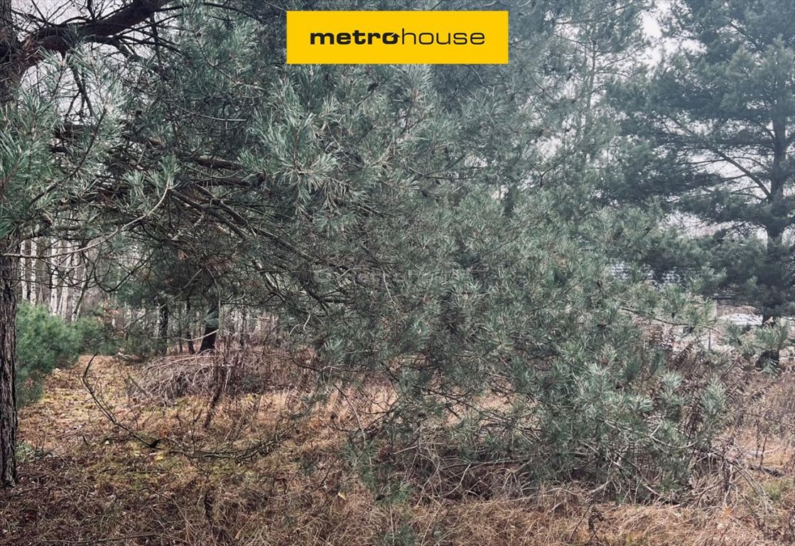 Działka 1678 m² w Józefowie – idealna pod dom Józefów  1 678m2 Foto 1