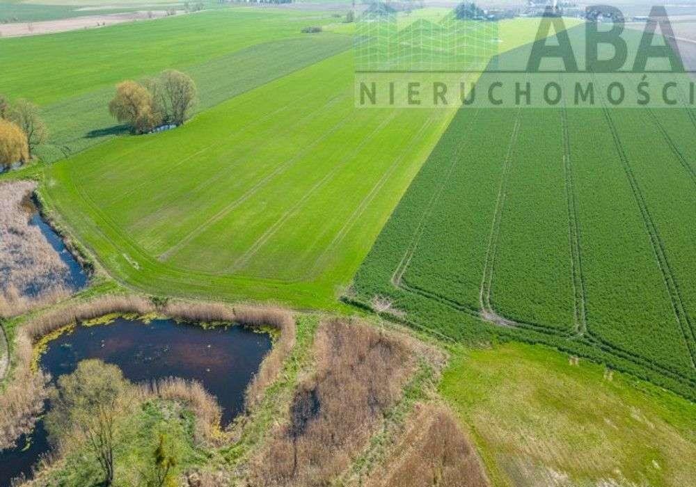 Działka budowlana na sprzedaż Turostówko  4 800m2 Foto 4