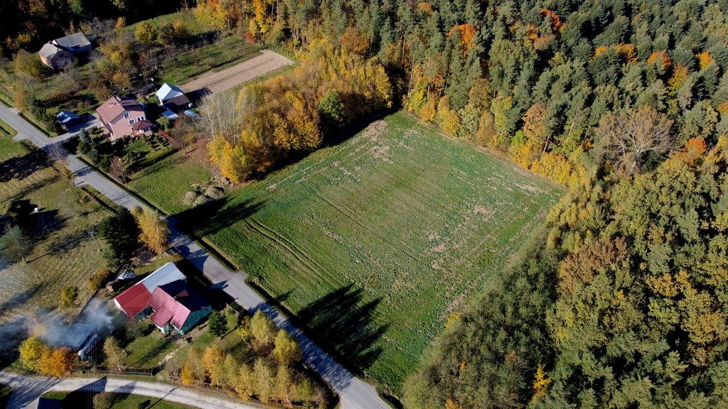 Działka budowlana na sprzedaż Cierpisz  1 670m2 Foto 5