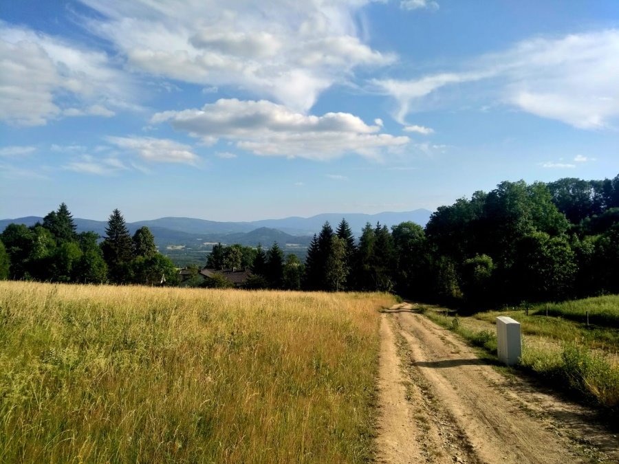 Działka budowlana na sprzedaż Komarno  2 000m2 Foto 4