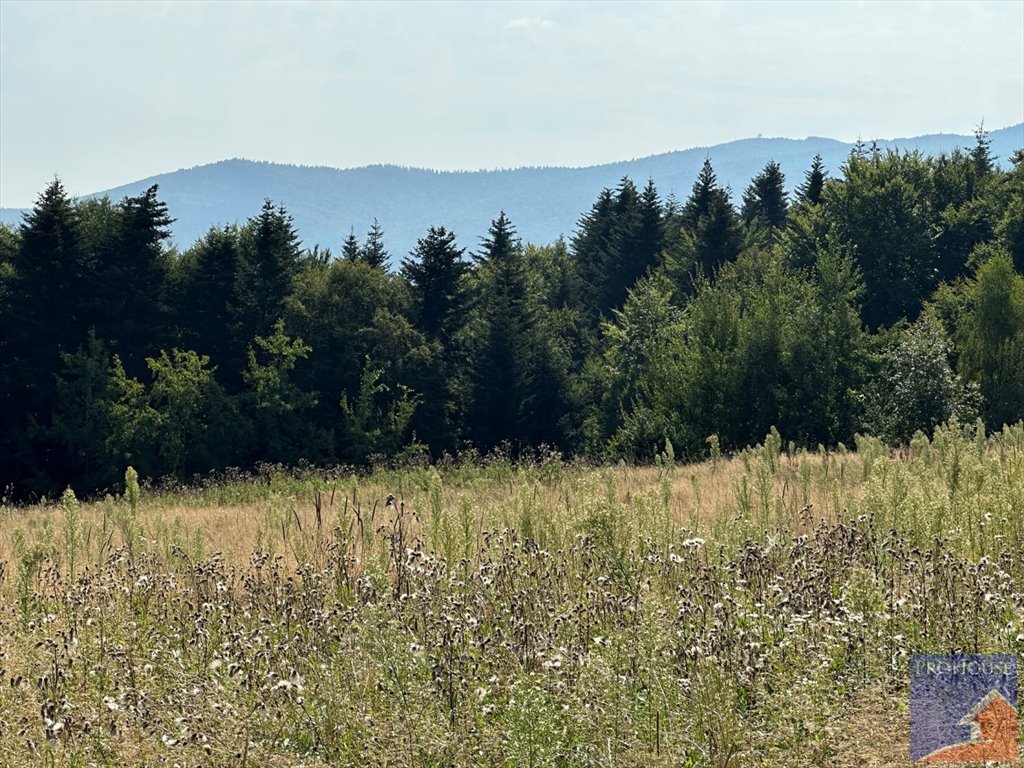 Działka budowlana na sprzedaż Stare Rybie  900m2 Foto 5