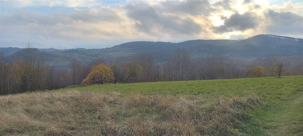 Działka inna na sprzedaż Walim  1 937m2 Foto 14