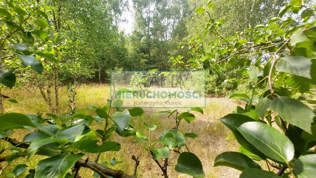 Na sprzedaż działka rolna 6708 m² z mediami i lasem Jaktorów  3 000m2 Foto 1