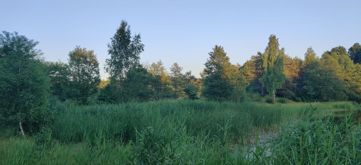 Lokal użytkowy na sprzedaż Tartak  52 600m2 Foto 21