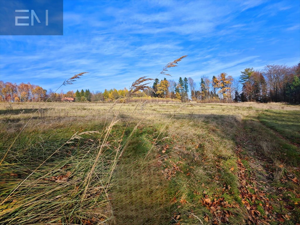 Działka budowlana na sprzedaż Lutcza  7 000m2 Foto 6