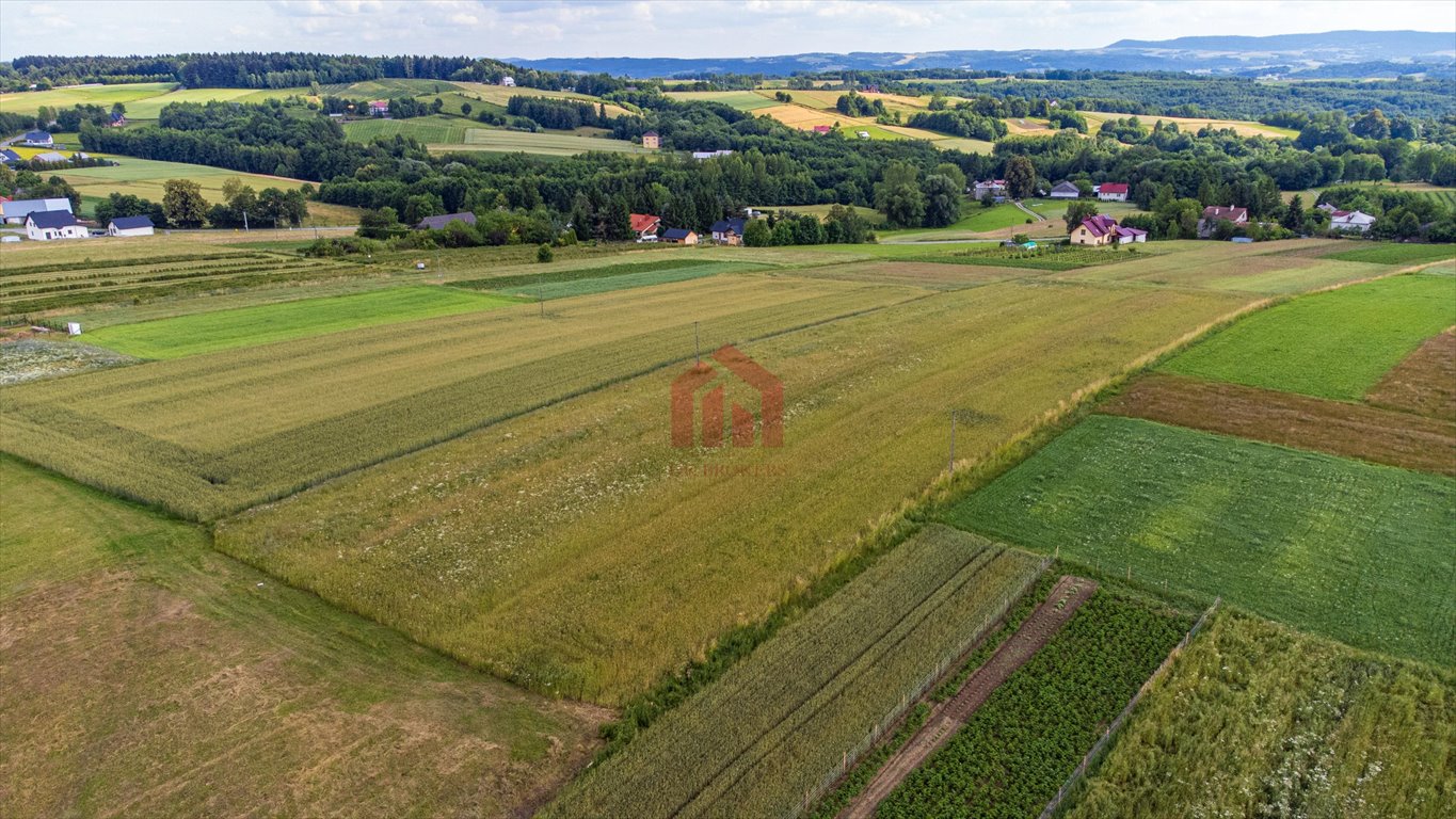 Działka budowlana na sprzedaż Broniszów  3 100m2 Foto 9