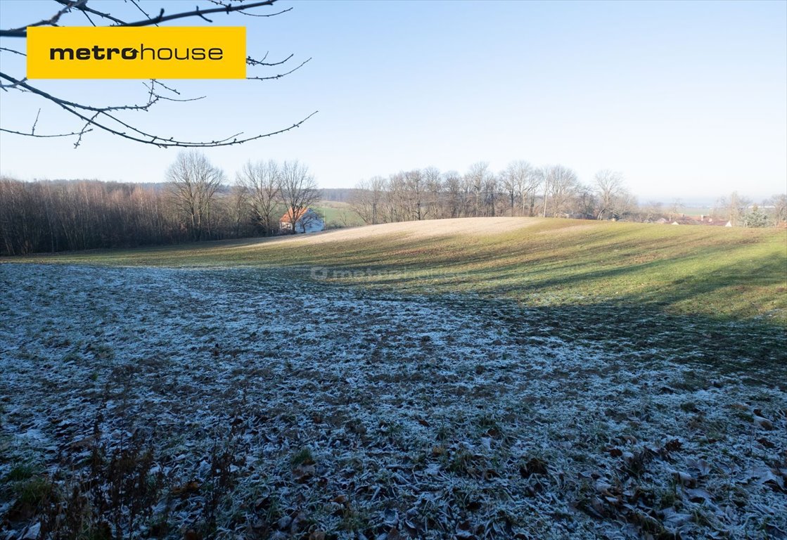 Działka budowlana na sprzedaż Okmiany  4 661m2 Foto 1