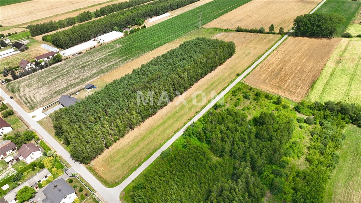 Działka inwestycyjna 8 000 m² w Nieborowie z możliwością zabudowy Nieborów, Zachodnia  8 000m2 Foto 1