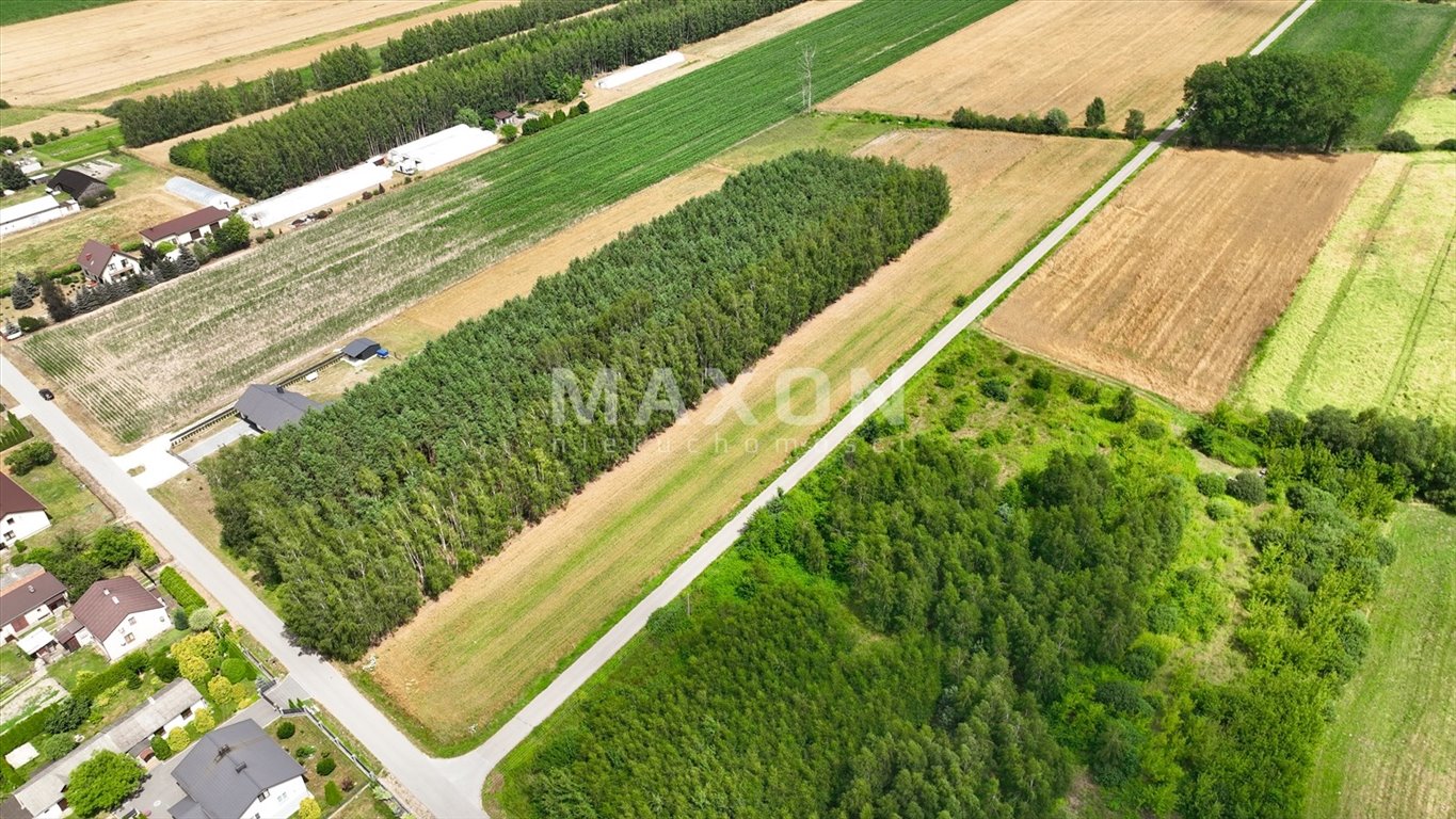 Działka budowlana na sprzedaż Nieborów, Zachodnia  8 000m2 Foto 3