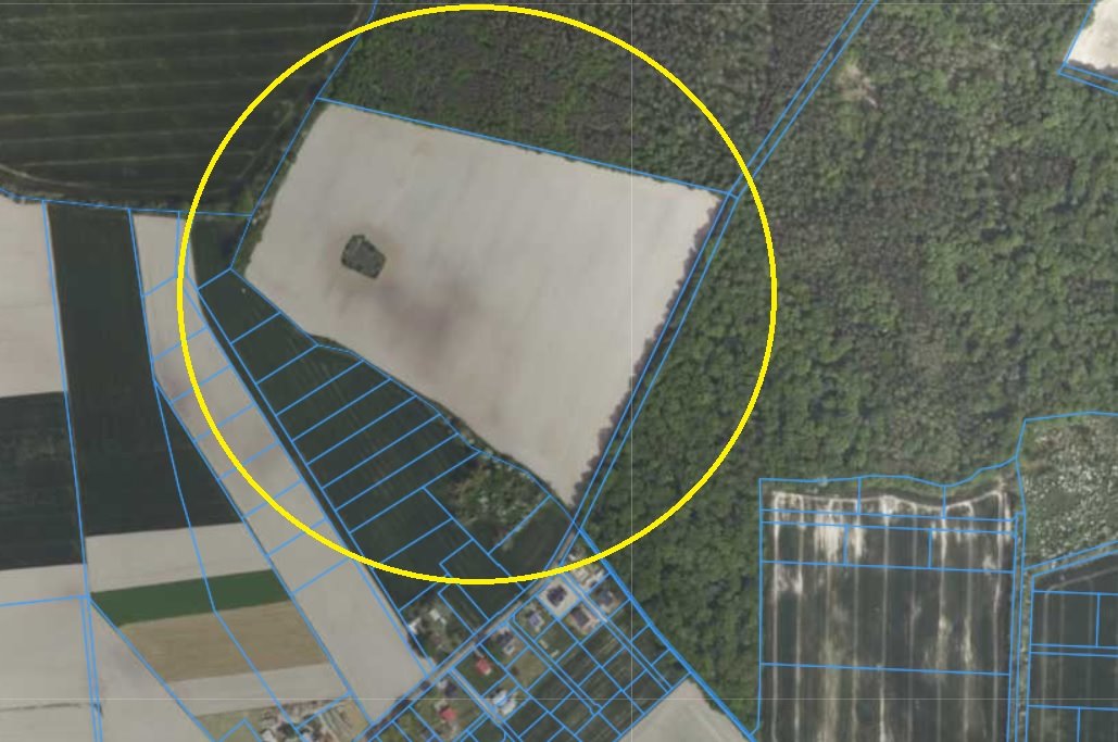 Działka rolna 11,14 ha z możliwością rozwoju w Żydowie Żydowo, Żydowo  111 400m2 Foto 1