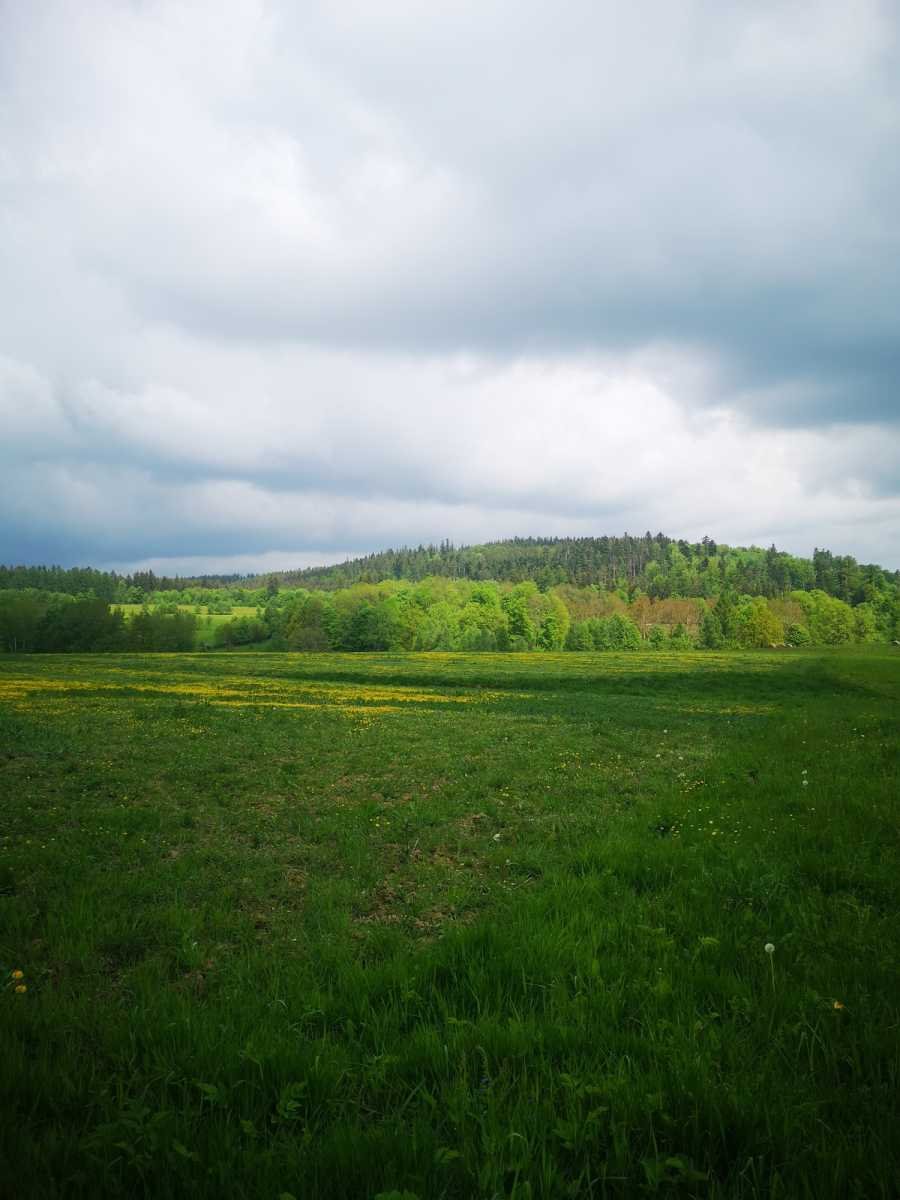 Działka gospodarstwo rolne na sprzedaż Bystrzyca Kłodzka  30 000m2 Foto 1