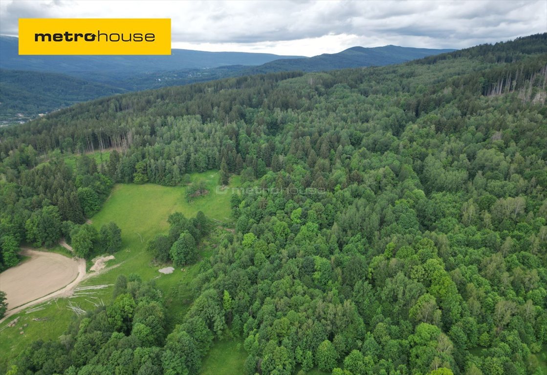 Działka leśna na sprzedaż Piechowice, Piastów  270 000m2 Foto 1