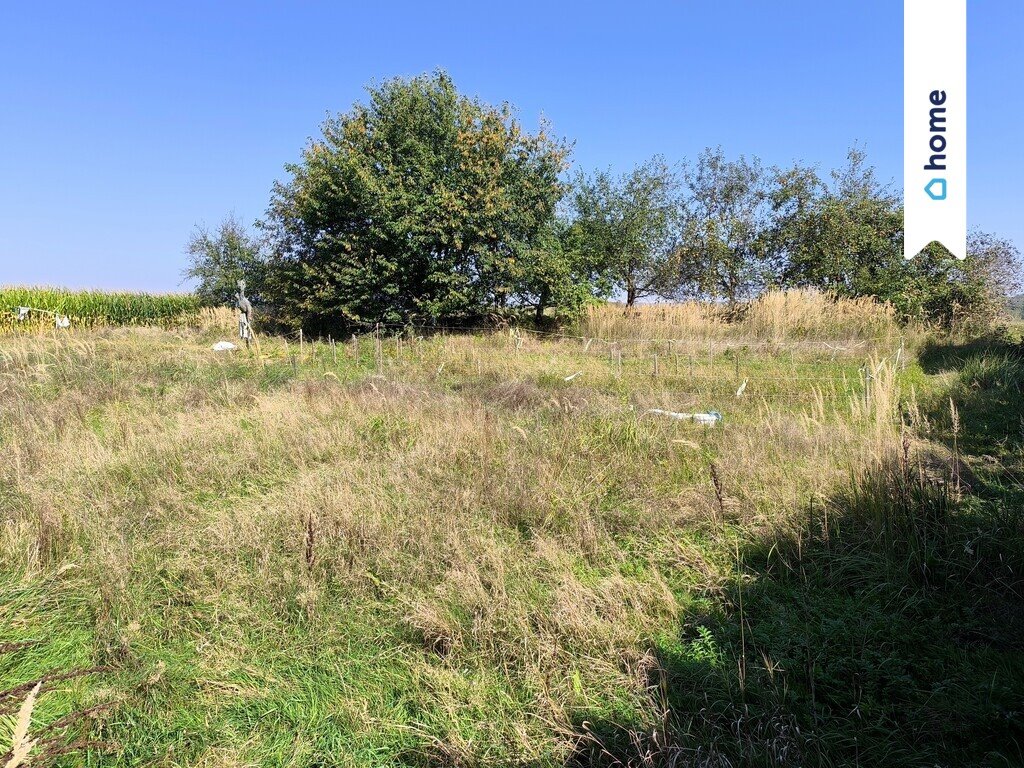 Działka budowlana na sprzedaż Cholerzyn  1 514m2 Foto 4