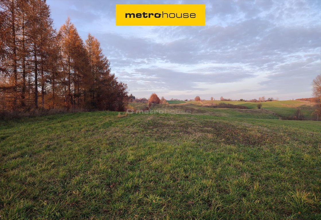 Atrakcyjna działka rolna 4,03 ha z dostępem drogą Mostkowo  40 000m2 Foto 1