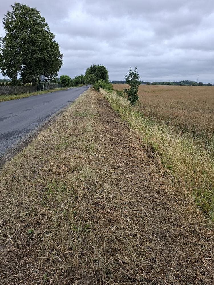 Działka budowlana 1261 m2 z warunkami zabudowy i uzbrojeniem Grzebienisko, Huby, Szamotulska  1 261m2 Foto 1