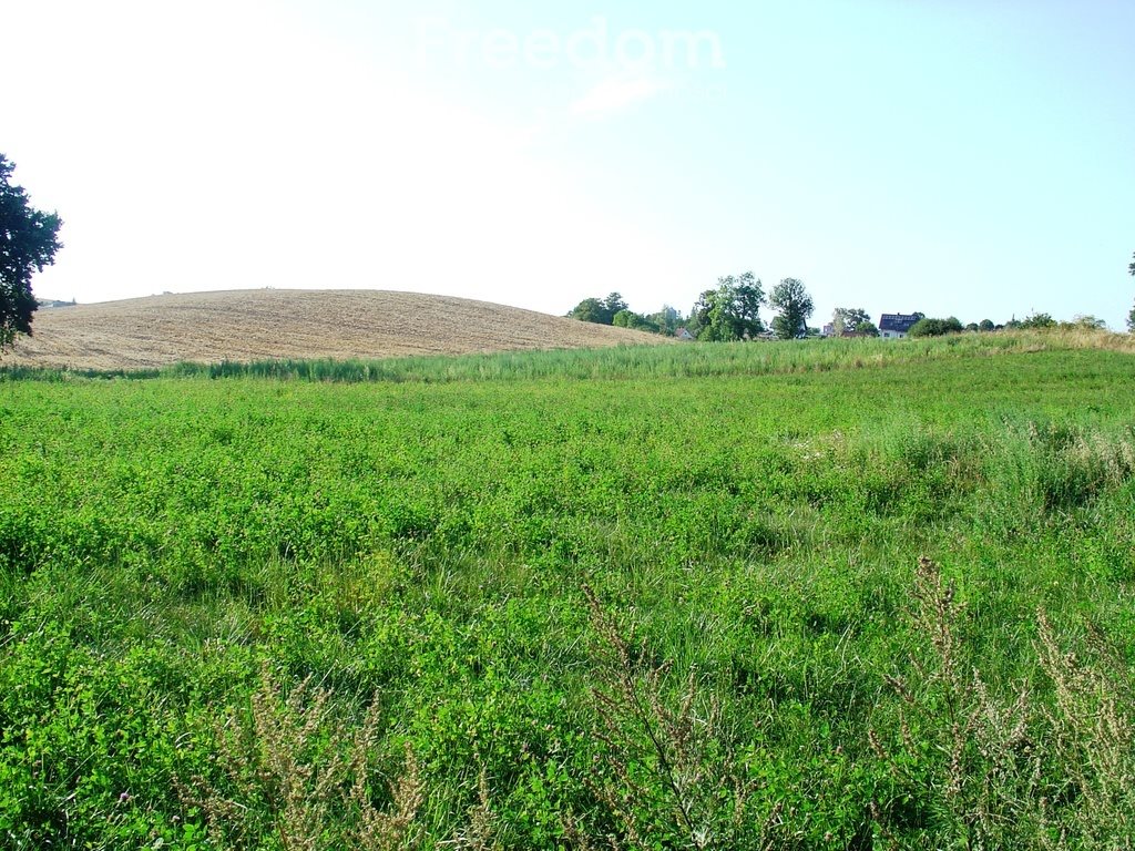 Działka rolna 2600 m² w Szropy (z dostępem do drogi) Szropy  2 600m2 Foto 1