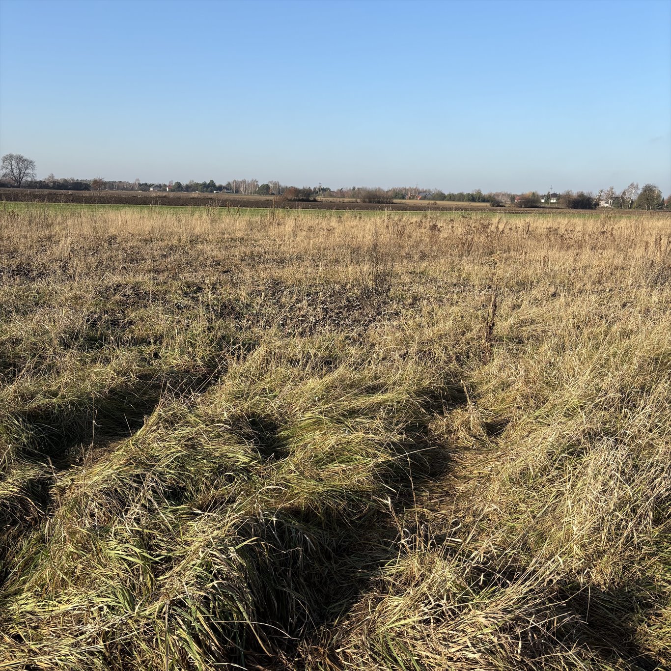 Działka budowlana na sprzedaż Wierzbin  1 000m2 Foto 4