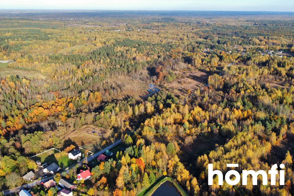 Działka inna na sprzedaż Rusinów  9 100m2 Foto 8