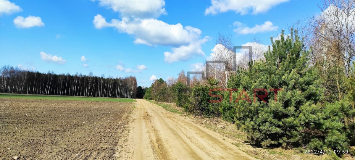 Działka gospodarstwo rolne na sprzedaż Wręcza  12 300m2 Foto 1